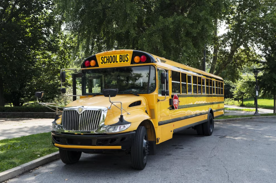 yellow school bus on the road and trees near it